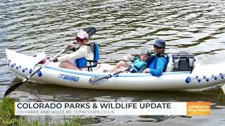 MTN Mornings: Colorado Parks & Wildlife Update - 6/27/25