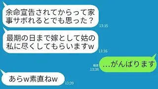 余命3ヶ月の私に全ての家事を押し付ける同居の姑「最後の日まで私に尽くさせるつもりだw」→楽しんでいる姑が突然恐ろしい事態に…www