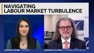 Navigating Labour Market Turbulence