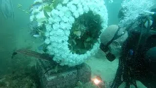 Así fue la ofrenda a la Virgen del Carmen en la piedra del Pineo