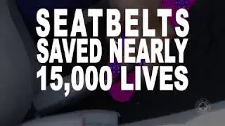 Seat Belts Save Lives