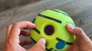 Wobble Wag Giggle Ball Review: Best Dog Toy?