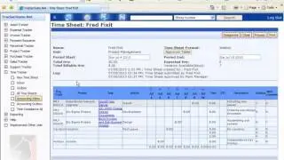Simplified Time Reporting with Time Tracker
