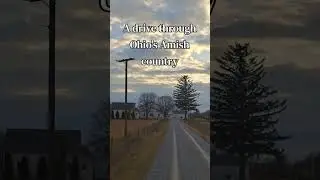 drive ohio VID