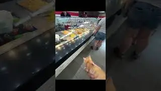 ORANGE CATS ARE CRAZY!