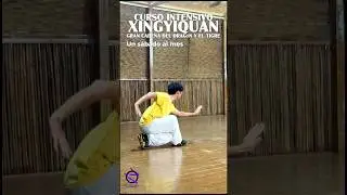 XingyiQuan curso en Barcelona | #wudang #kungfu #barcelona #xingyi #wushu #neijiaquan #wudangtaichi