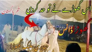 Haidari Malang Best Ghora Dance/ 💧گھوڑا ڈانس