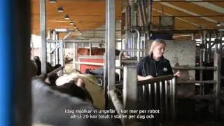 DeLaval Clover&trade; f&ouml;r VMS - skonsamt spengummi