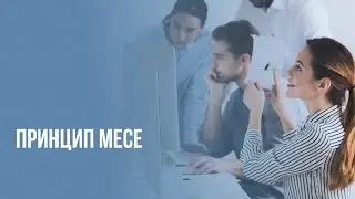 Принцип MECE (ВИСИ). Управленческий консалтинг
