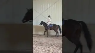 from racehorse to my dream horse 🩷 #horse #equestrian #ottb #blowup #fyp #relatable #motivation