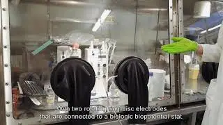 UGHENT VIDEO ANAEROBIC CHAMBER