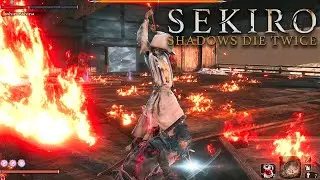 Isshin Ashina vs Shura/Ashina (No damage ) Shadowrush o Ashina cross?????