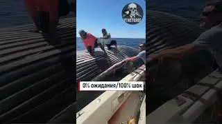 НЕОЖИДАННО В ОКЕАНЕ РЫБАКИ ВСТРЕТИЛИ... #океан  #realmoments