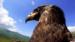 Basilicata, play with green! | Parco Nazionale del Pollino