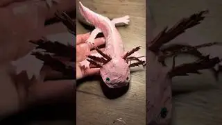 🦎🥹PART 3: Making a baby AXOLOTL for my wall | Cardboard Craft | DIY Shark Tutorial #cardboard #diy