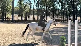 Cowboy flatting with amateur