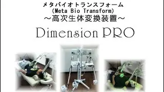 Dimension  Pro