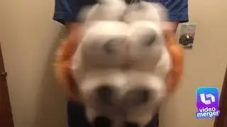 Puffy paws