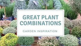 Inspirational Plant Combinations / Spring Tour