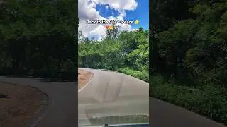 Panchhi Sur Me Gate He | Car Drive in Green Mountain Ghat 🌿🚗 |Vibes | #shorts #90s