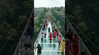 ​#VagamonGlassBridge#Vagamon#AdventureTime#GodsOwnCountry#GlassBridgeIndia​#Idukki#Wagamon#viral#all