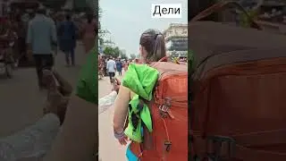 гуляем по Дели##delhi #india #walking