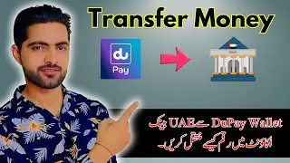 How to Transfer Money from DuPay Wallet to UAE Bank Account - Step by Step Guide