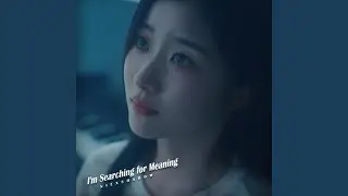 Searching for Meaning