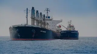 Bunker and Ship Services