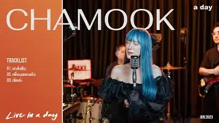 CHAMOOK | Live in a day
