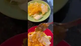 Cat breakfast with scrambled Eggs | Healthy Food for animals. #cat #kitten #farm #animallover