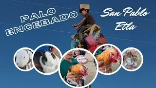 ASI VIVIMOS EL PALO ENCEBADO DE SAN PABLO, ETLA ! #paloencebado #fiestapatronal #diversion 