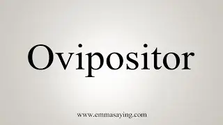 How To Say Ovipositor