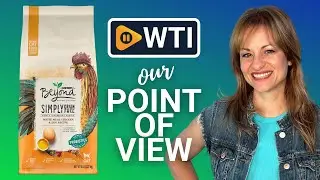 Purina Beyond Grain Free Cat Food | Our Point Of View