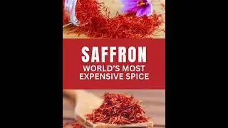 Saffron: The World&rsquo;s Most Expensive Spice