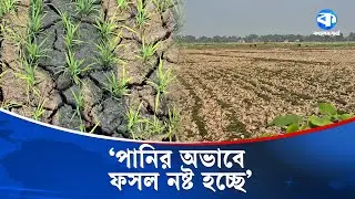 ‘পানি পায়তাছি না জমিনগুলো পতিত রইছে' | Agriculture Crisis 2026 | Kaler Kantho