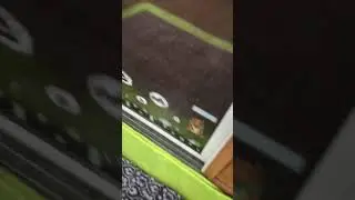 Older ferret playroom