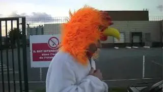poulet cru