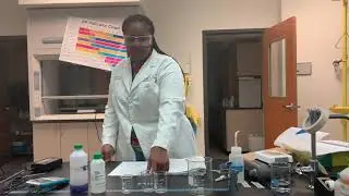 Amber&rsquo;s Crystal Violet Lab