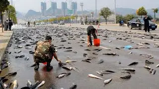 The Most Epic Natural Phenomena