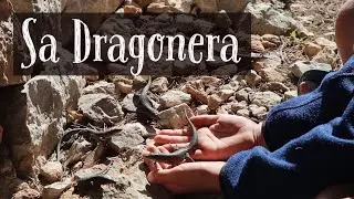 Mallorca Vlog: Sa Dragonera - ein Besuch auf der Dracheninsel mit Kindern (und Eidechsen)