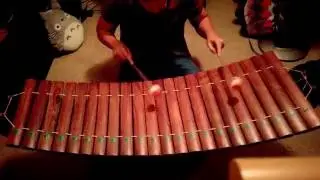 Ranat Ek Practice I (Thai Xylophone)