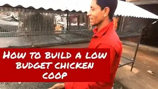 How To Build A Low Budget Chicken Coop ? | Low Budget Chicken Coop Design