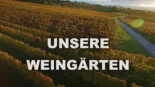 Herbstimpressionen - P&ouml;ttelsdorfer Weinrieden