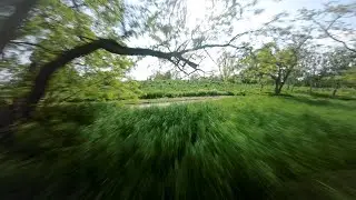 2 Raw Lines
