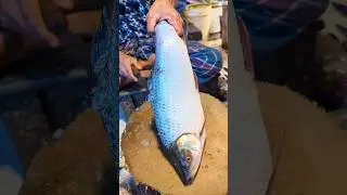 Amazing Cutting Skills | Big Rohu Fish Cutting By Expert Fish Cutter