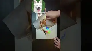 Custom portrait of Daisy the Jindo #asmr #satisfying #cute #art #dog #pets