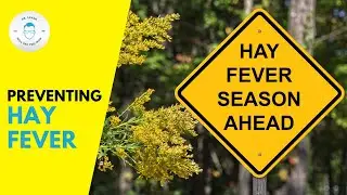 Summer Health Bummers: Preventing Hay Fever