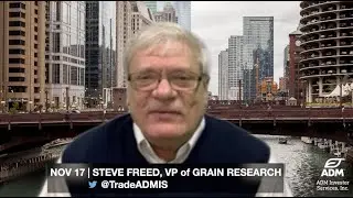 Ag Markets Lower as Ukraine Export Corridor Deal Extended