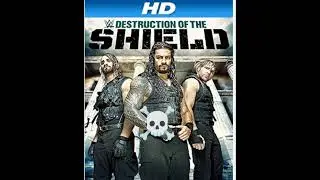 the shield☠️